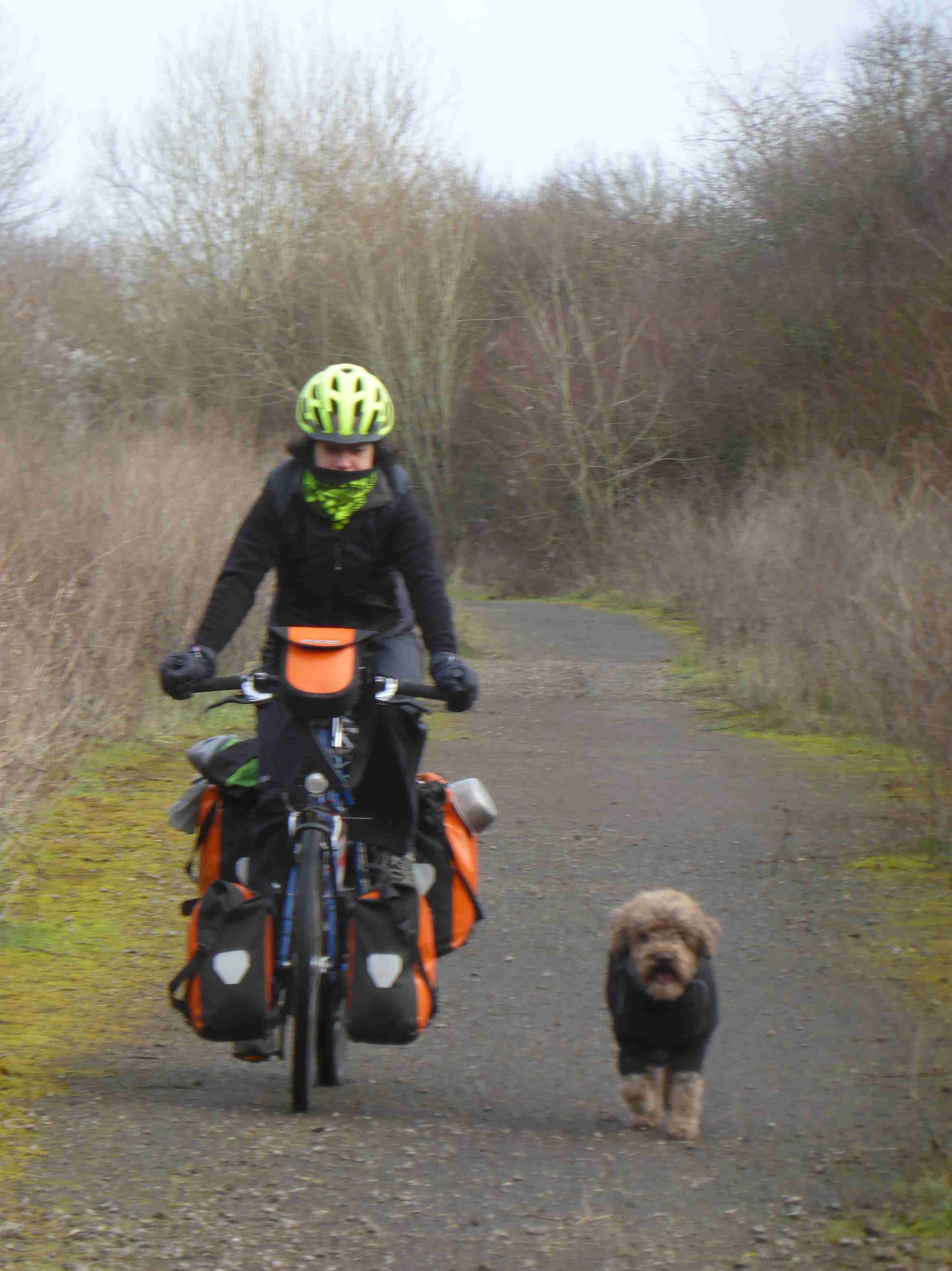 Zola trotting happily next to me, despite hating her rain jacket