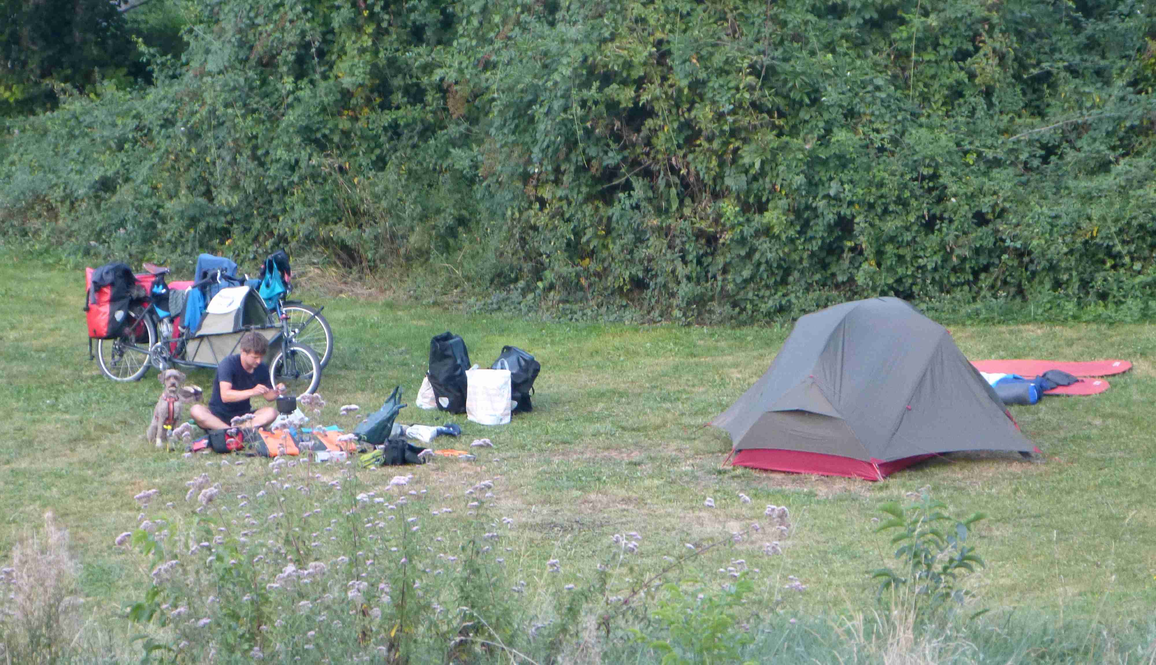 A quiet wild camping spot in Dordogne. The huge bush in the background was filled with black berries, which both me and Zola thoroughly enjoyed...