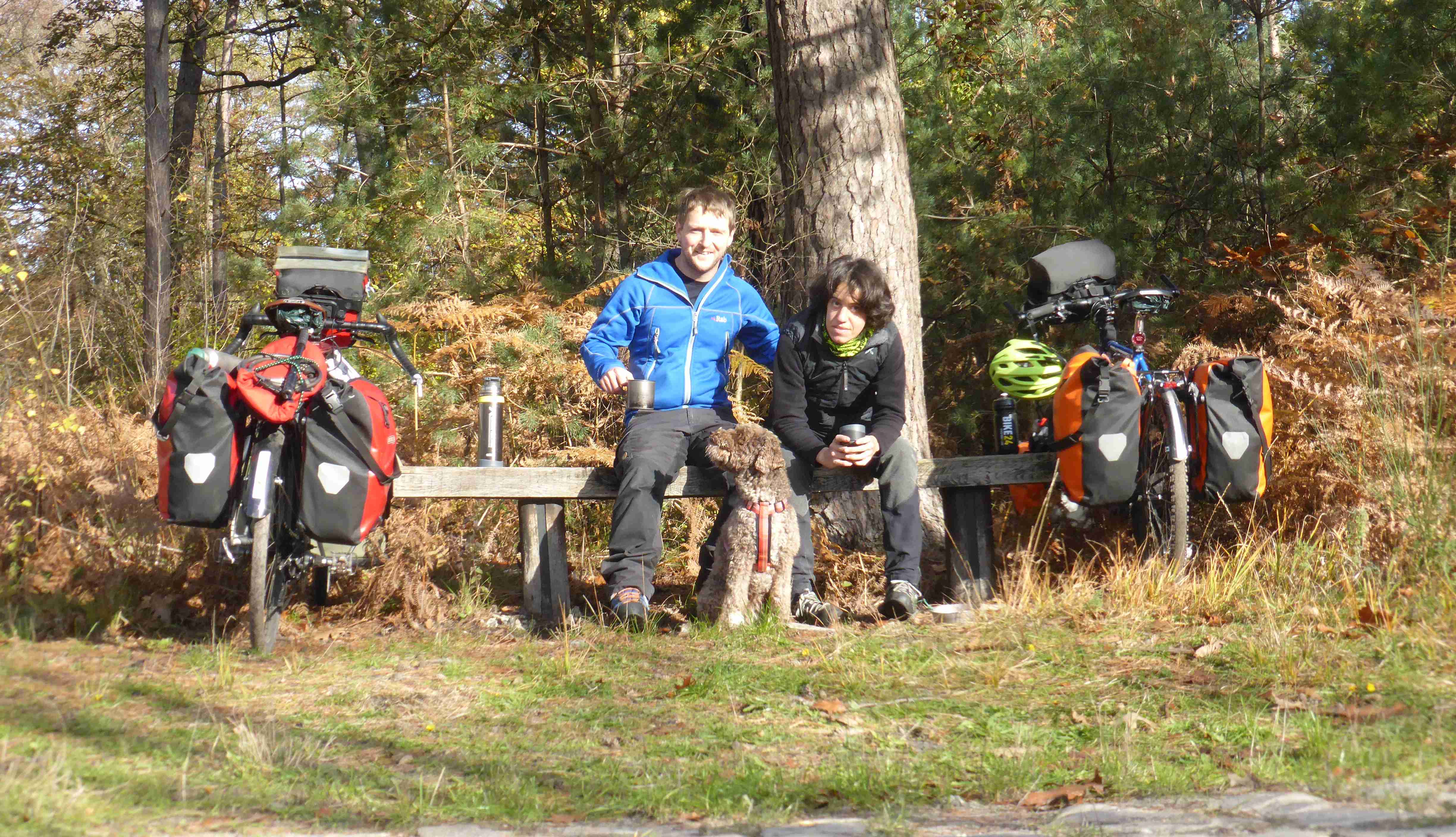 A quick lunch in the forest of Ermenonville