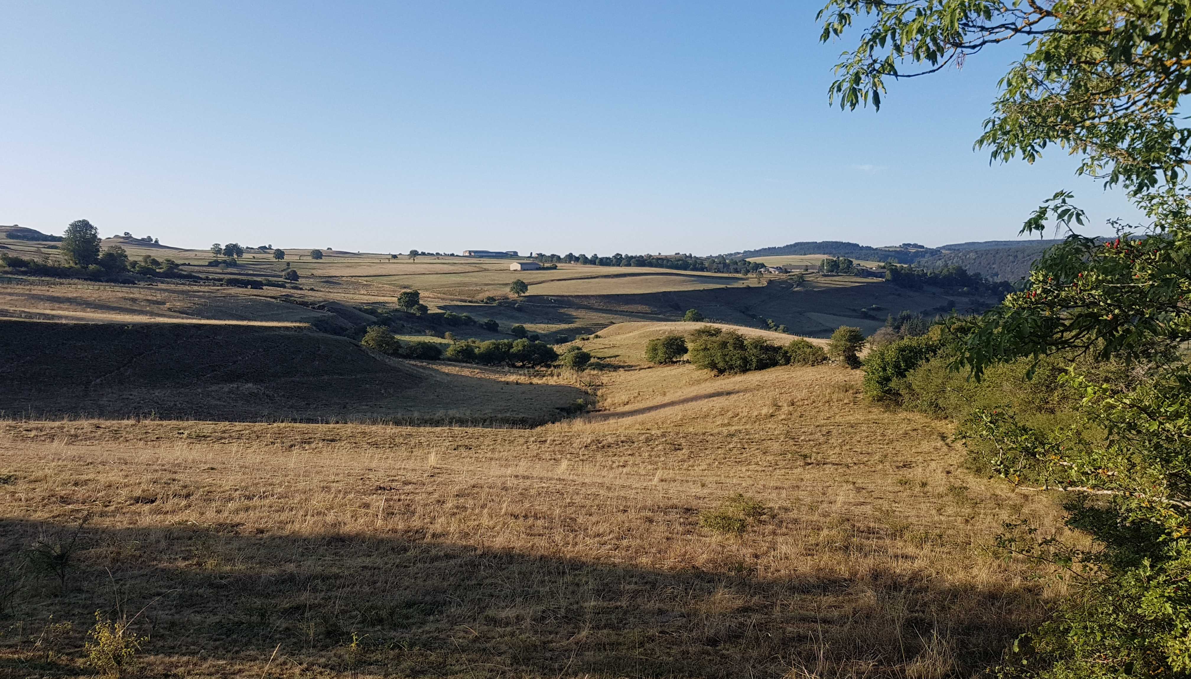 Morning view from our camping spot near Allanche