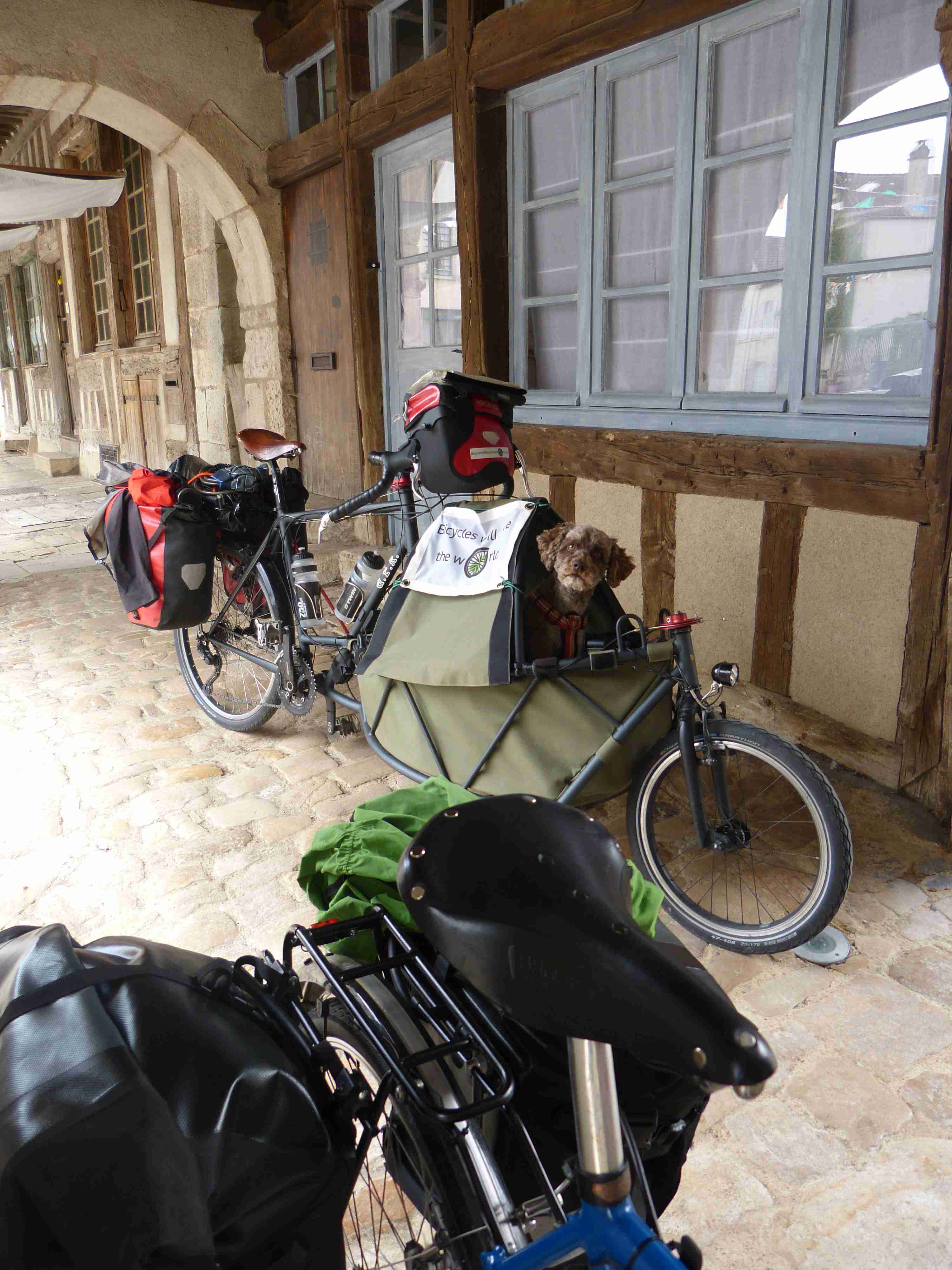 Zola seems puzzled as we take a picture of her under an arcade in Noyers... Perhaps she is ashamed of her long poodle-like ears!