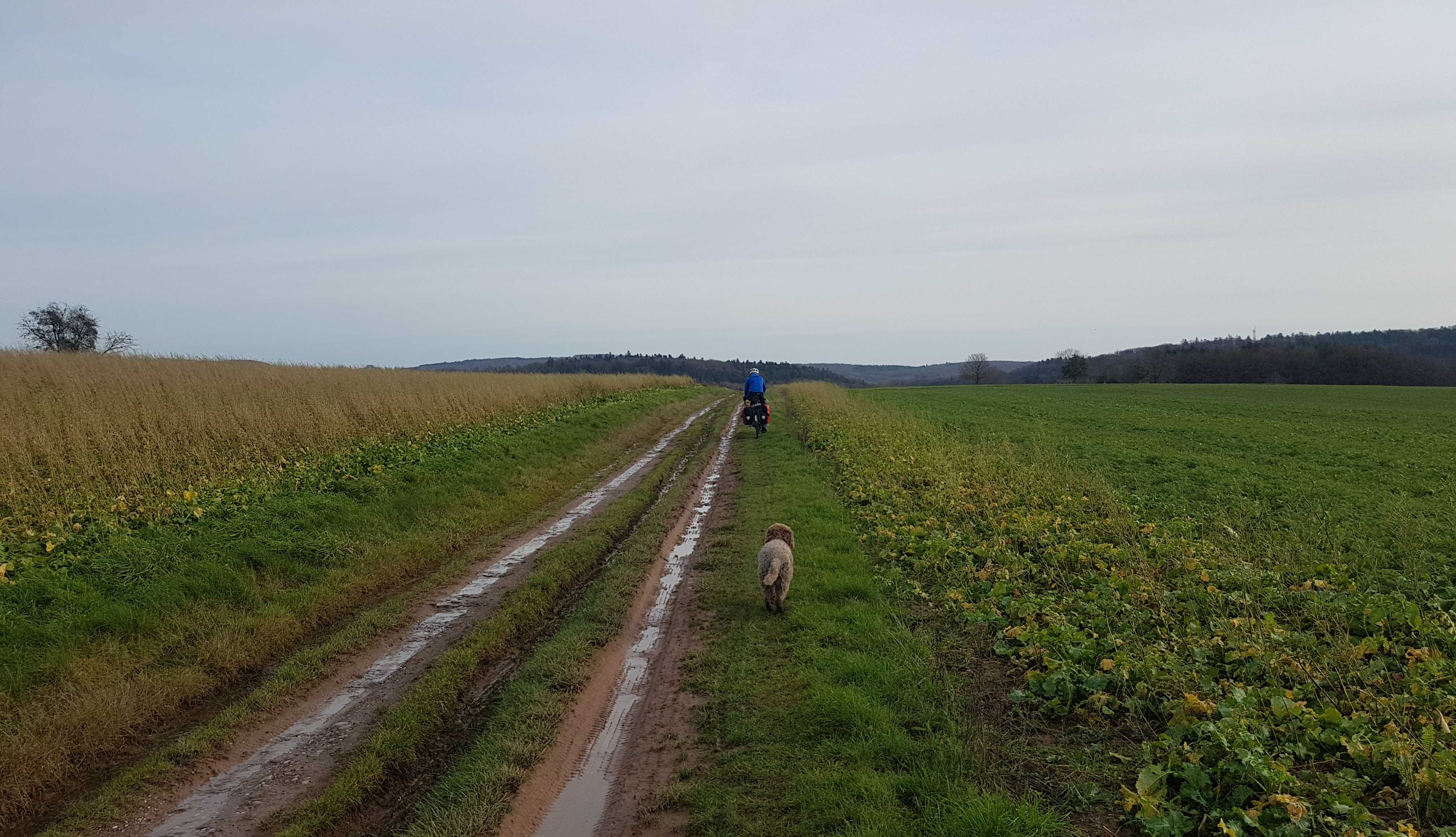 A nice stretch of off-road cycling to allow Zola a bit of exercise