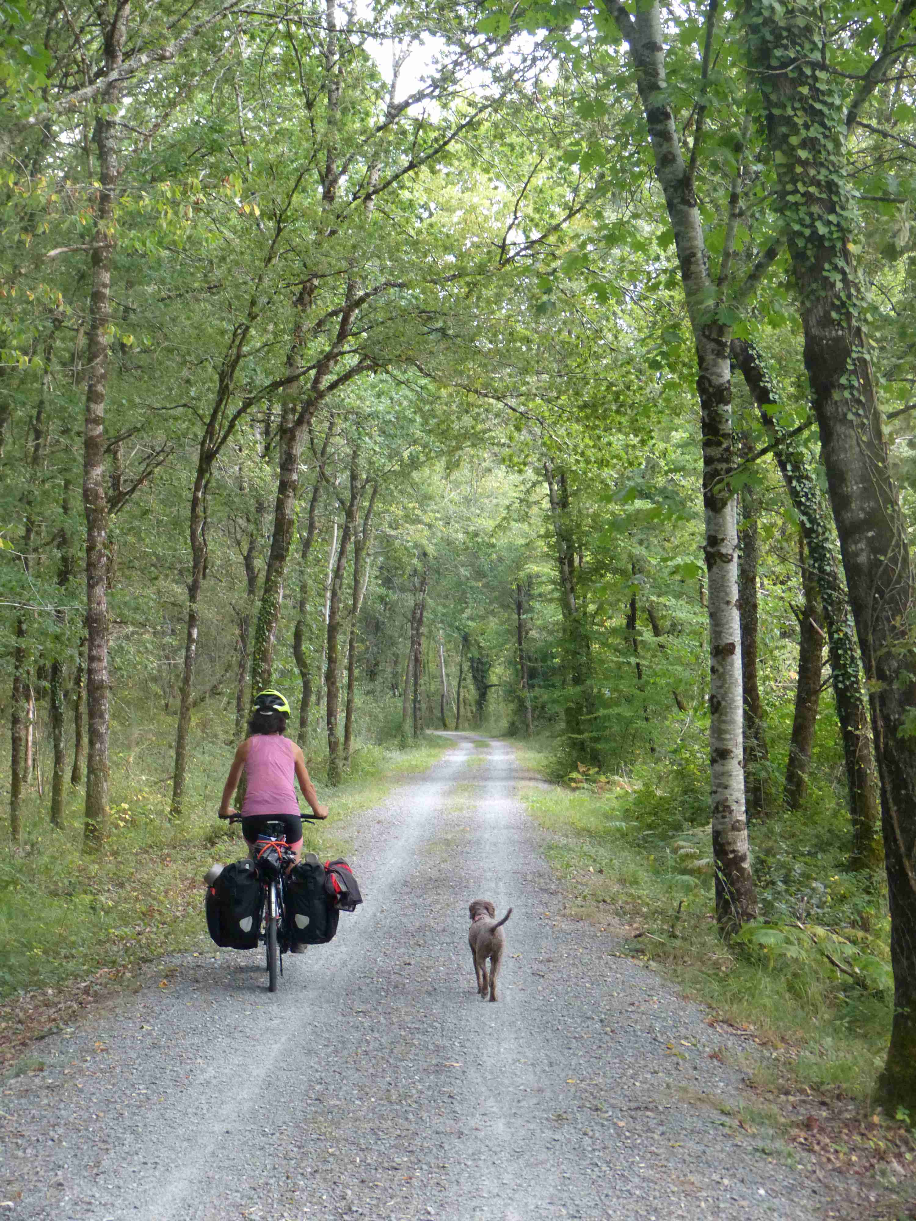 Cycling through the Périgord-Limousin Natural Regional Park was a pleasure for Zola!