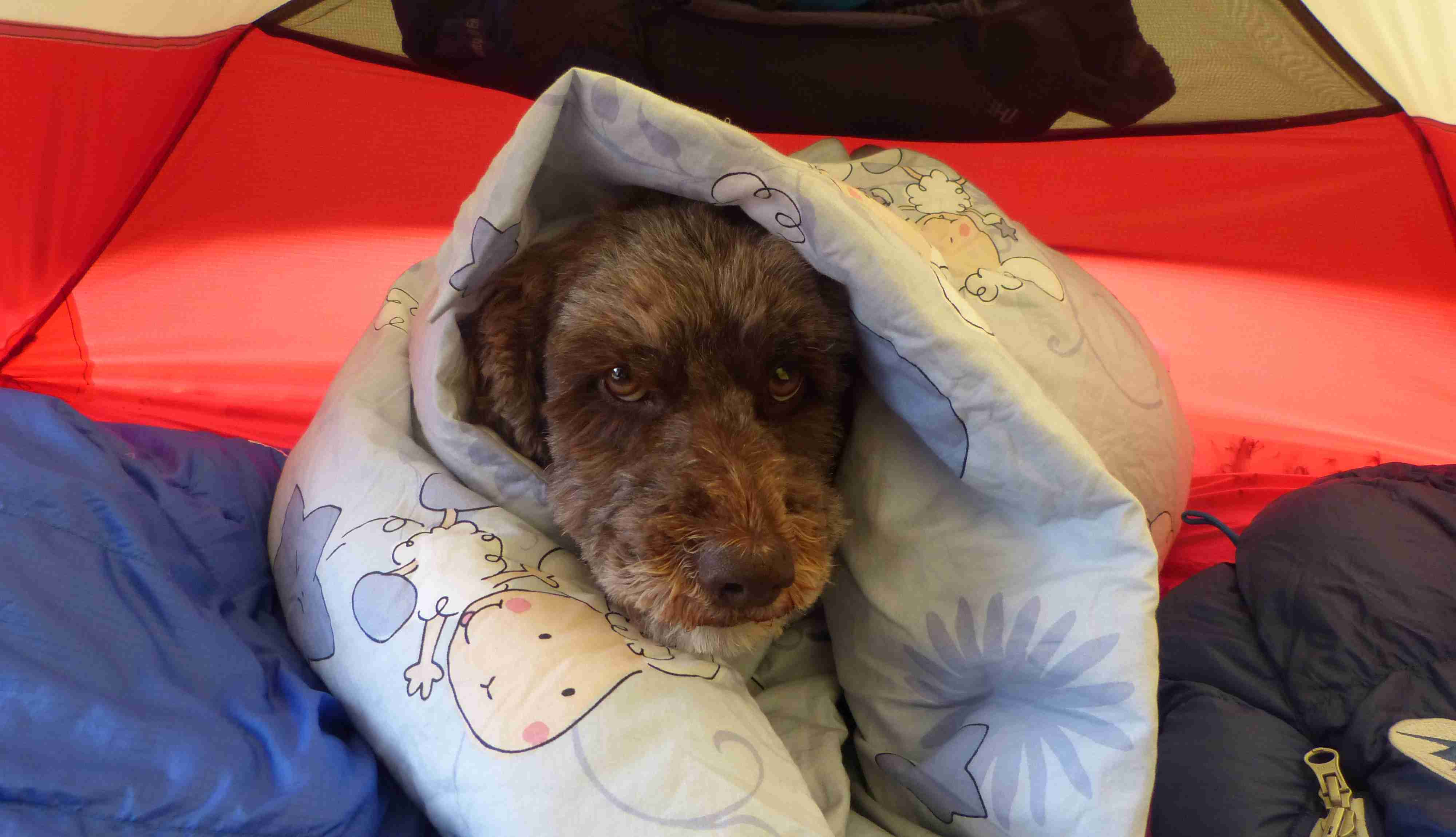 My hair is so short that I need my sleeping bag even inside the tent!